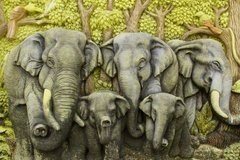 3D Фотообои Слоны Артикул 25881