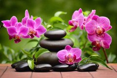 Фотообои Орхидеи и камни Артикул 14487