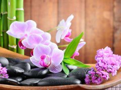 Фотообои Камушки и орхидея Артикул 4582