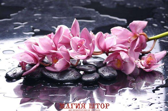 Фотообои Розовые орхидеи на камнях Артикул 6537