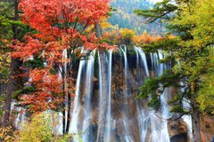 Фотообои Водопад в осеннем лесу Артикул 3964