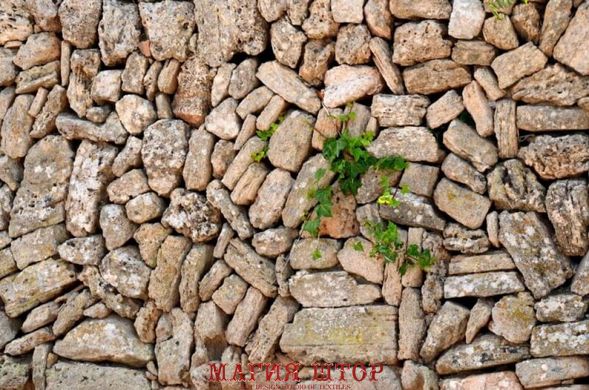 Фотообои Растение в стене Артикул nfi_01615