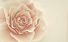 3D Фотообои Солнечная роза Артикул 36137