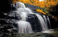 Фотообои Водопад в осеннем лесу Артикул 5387