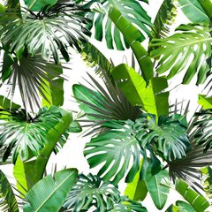 Фотообои Пальмовые листья Артикул 30798