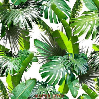 Фотообои Пальмовые листья Артикул 30798