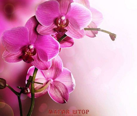 Фотообои Цветы на розовом фоне Артикул 20410