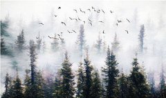 Фотообои В туманном лесу Артикул dec-960