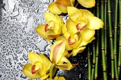 Фотообои Бамбук и желтая орхидея Артикул 4502