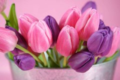 Фотообои Розовые и сиреневые тюльпаны Артикул 20621