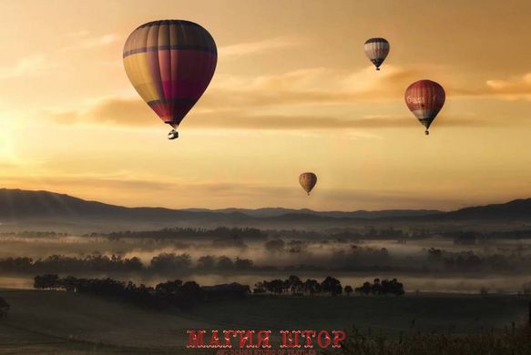 Фотообои Воздушные шары и лес Артикул nfi_02074
