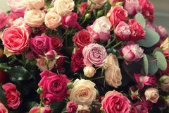 Фотообои Букет разноцветных роз Артикул 20376