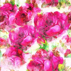 Обои Ярко-розовые розы Артикул nfi_00324