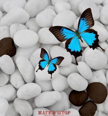 Фотообои Красивые бабочки на белых камнях Артикул 33284