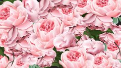 3D Фотообои Розовые цветы Артикул 39586