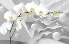 3D Фотообои Абстракция: орхидея, шары и бабочки Артикул dec-070