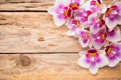 Фотообои Орхидеи на досках Артикул 21131