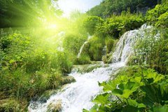 Фотообои Водопад в зеленом лесу Артикул 0345