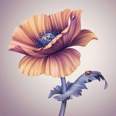 Фотообои Божья коровка на цветке Артикул 15498