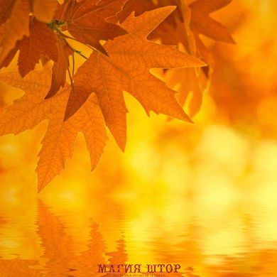 Фотообои Осенние листья над водой Артикул 1540